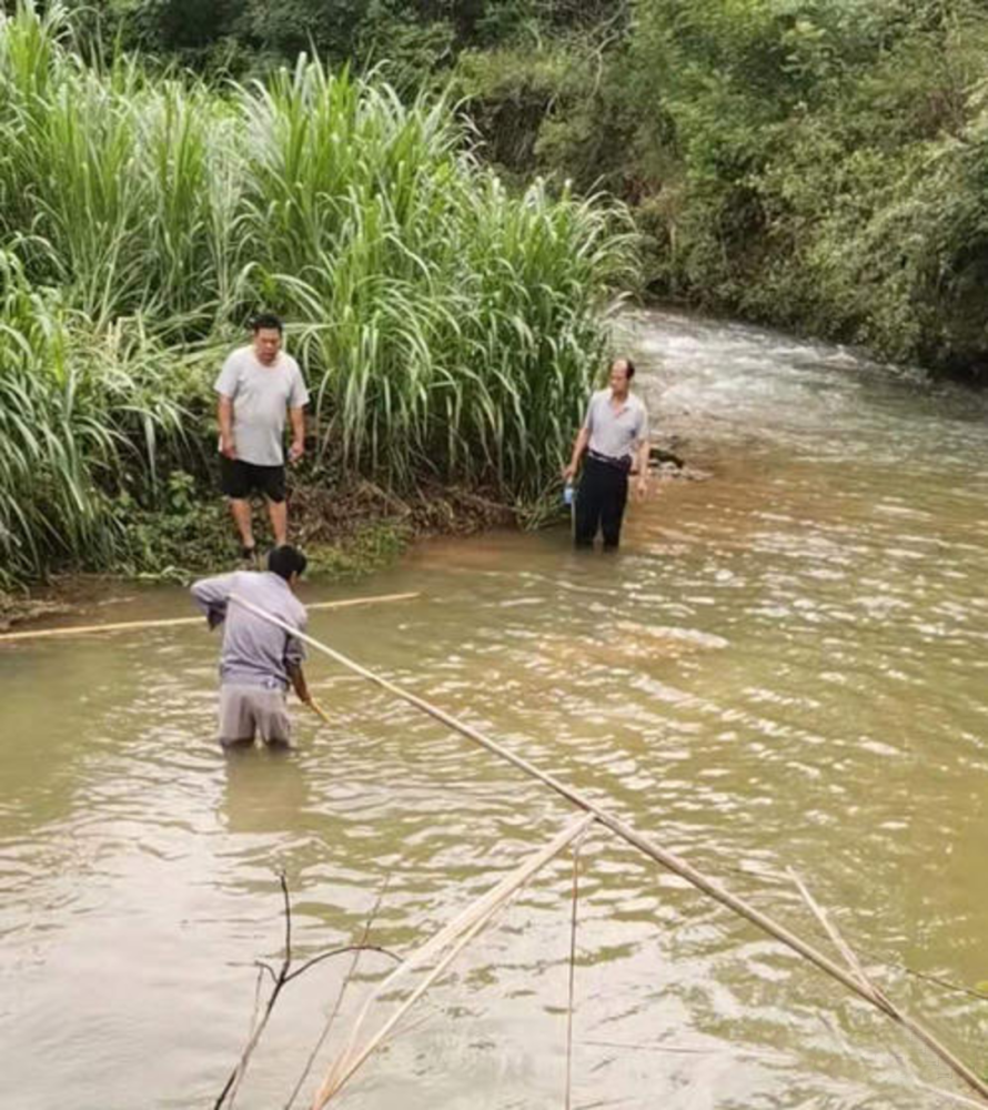 广西英语王老师落水事件富扬为你讲解