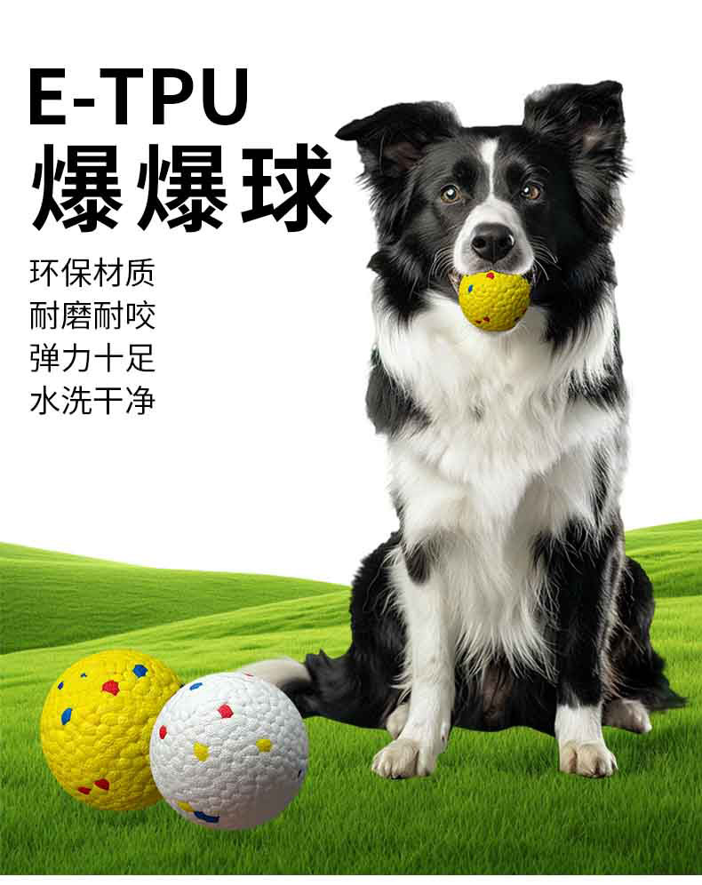 1765446244489901.jpg 实心宠物球_01.jpg