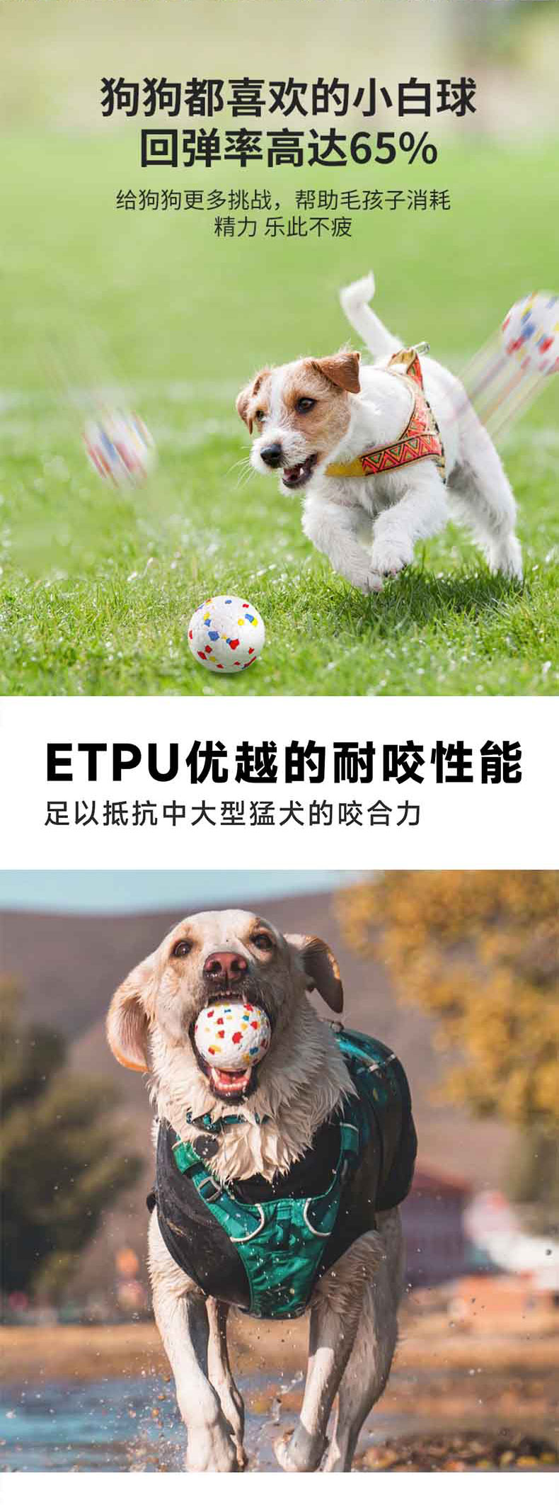 1765446263616152.jpg 实心宠物球_05.jpg